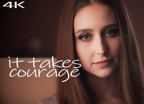 It Takes Courage – Laney Grey