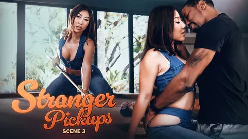 The Cat Call – Nicole Doshi